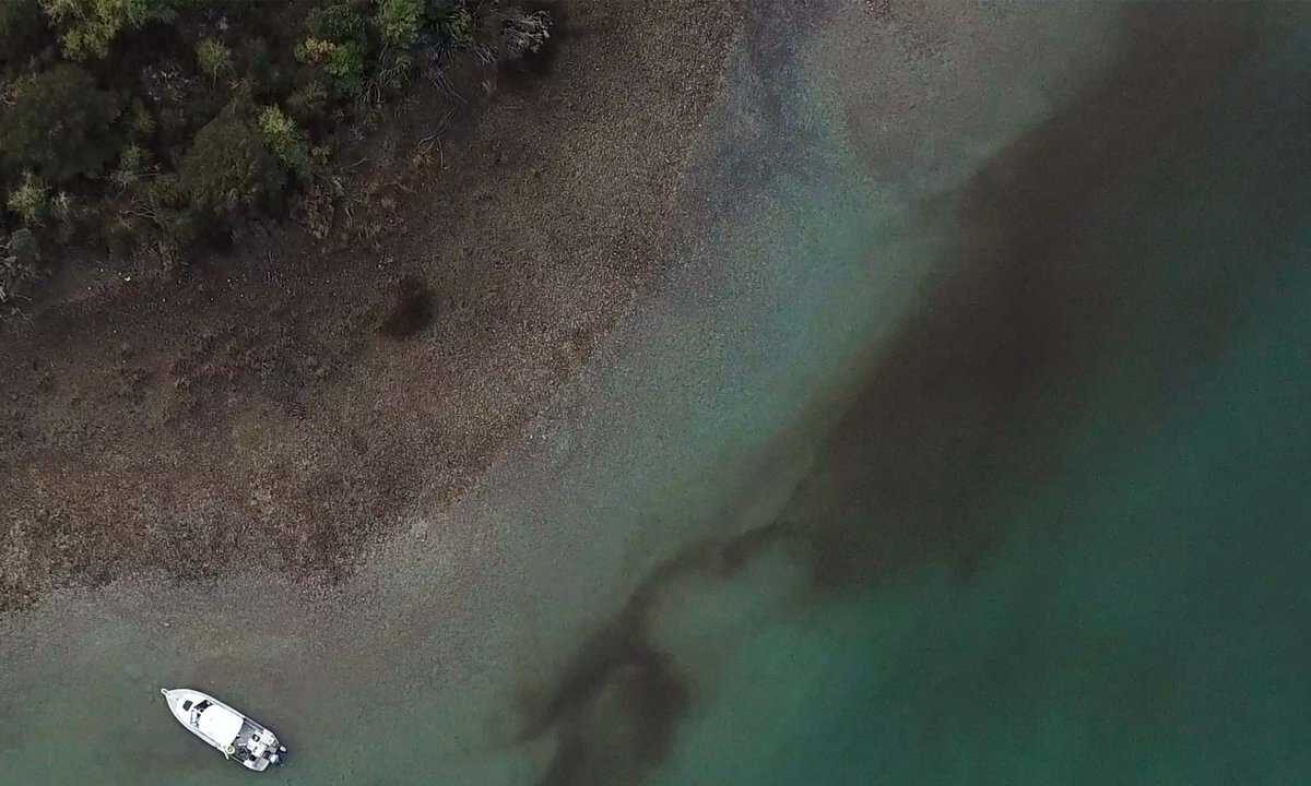 Aerial view of the Cawthron Aquaculture Park