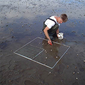 Cawthron-Design and Review of Estuarine Monitoring Programmes