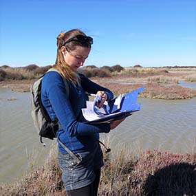 Cawthron-Estuarine Research-Dana Clark