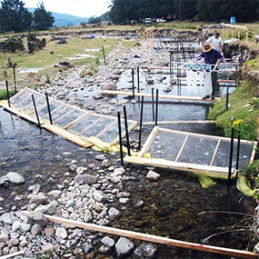Cawthron-FW-Biological Monitoring