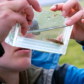 Cawthron-FW-River Ecosystem Health