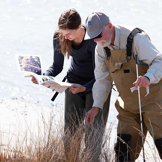 Cawthron-Ocean Health-Estuaries