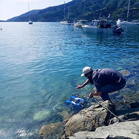 Cawthron-Ocean Monitoring and Effects Assessments-Ports, Harbours and Discharges