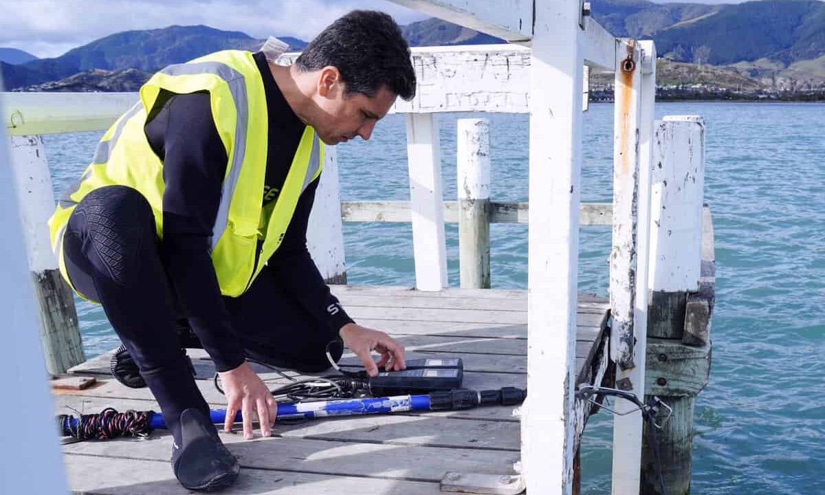 Scientist prepares to take water sample on wharf.