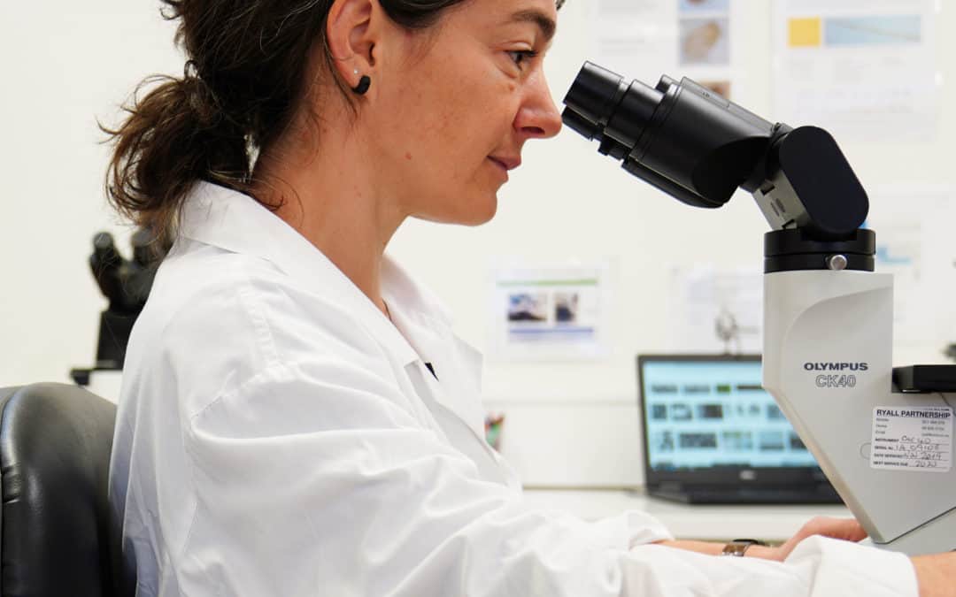 Cawthron-Lutra partnership to provide cyanobacteria support service for drinking water suppliers