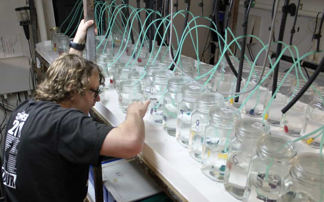 Emerging organic contaminants