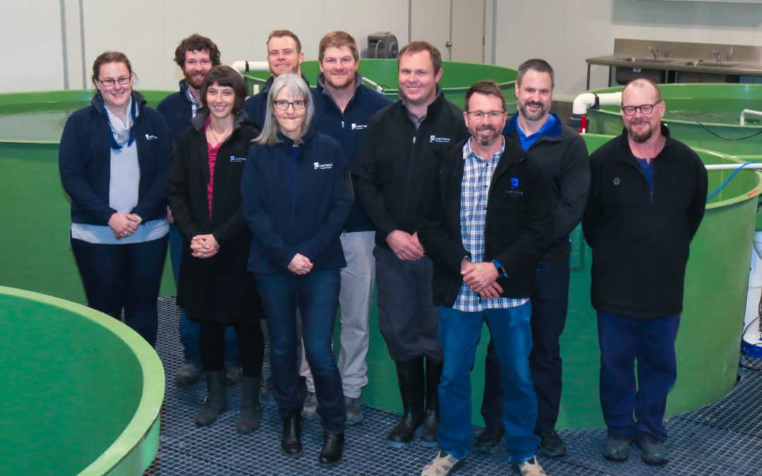 Case Study: A collaborative approach to salmon industry development