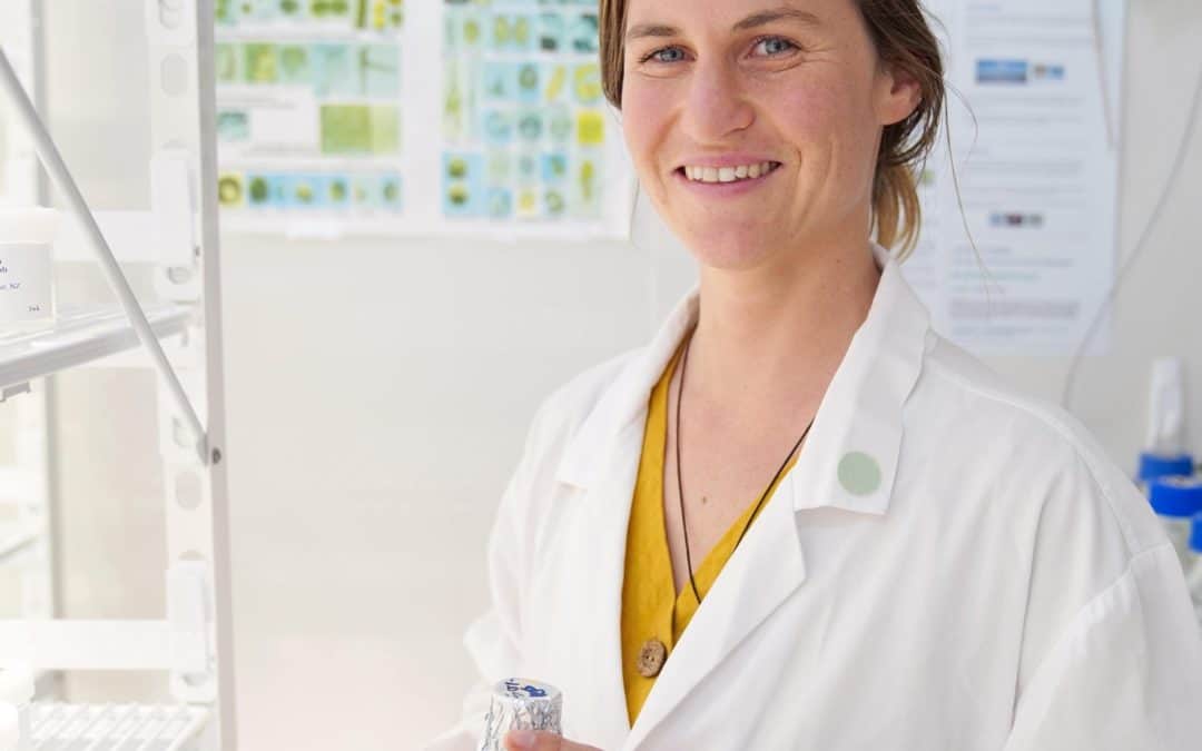 Researcher Jacqui Stuart awarded Antarctica New Zealand Scholarship for phytoplankton research