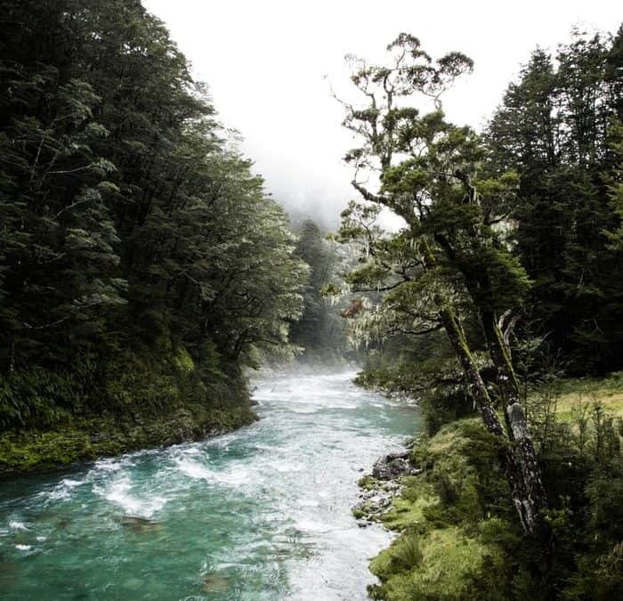 Cawthron New Zealand River Awards announce $10k cash prize for Catchment Progress Award