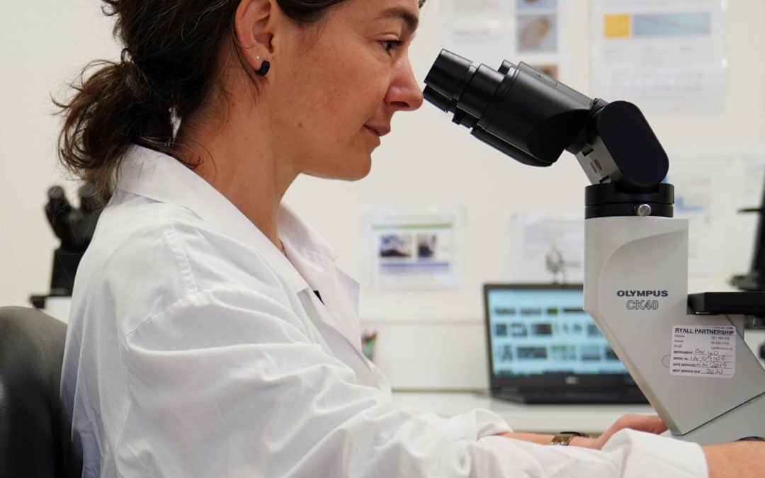 Monitoring and assessment of cyanobacteria in drinking water