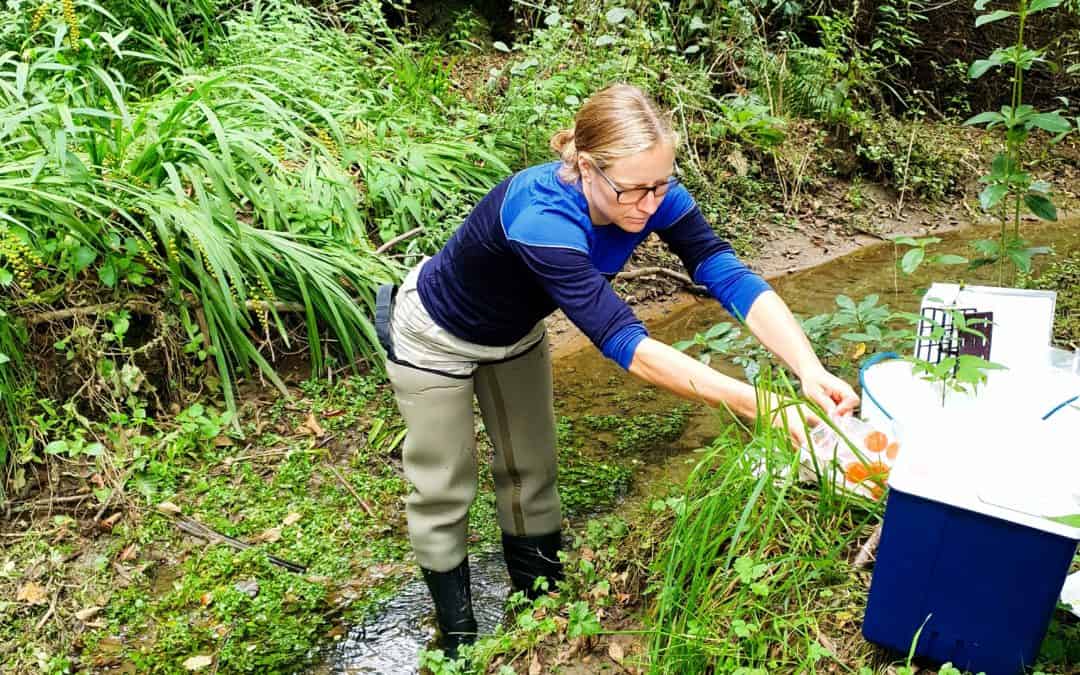 Case Study: Using eDNA to detect and protect taonga freshwater species in Aotearoa.