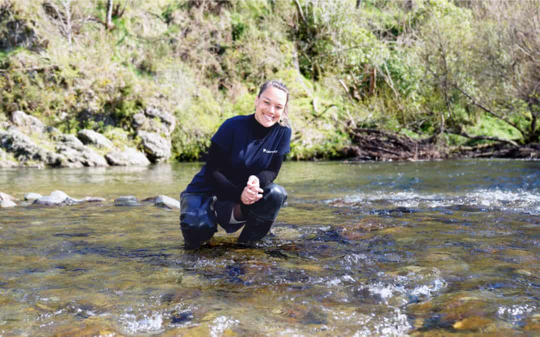 Opinion: Dr Kati Doehring- Why stories, not just statistics, will save our environment