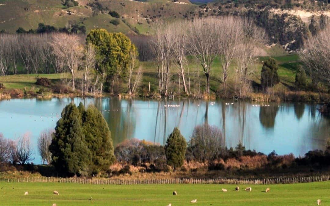 Monitoring the Impact of Farm Environmental Improvements on River Health