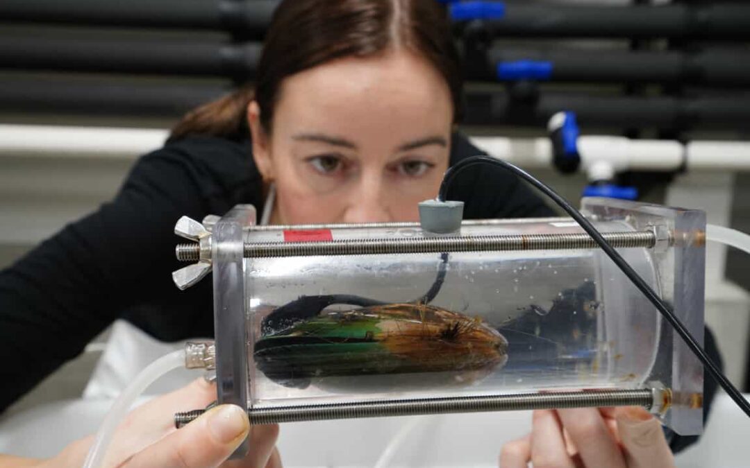 Cawthron to host aquaculture climate change resilience & ocean acidification conferences