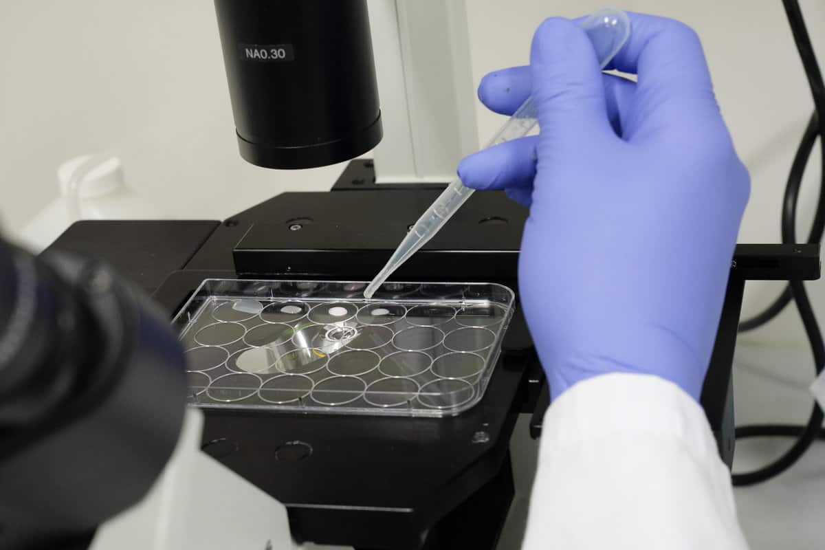 Laura Biessy in the laboratory at Cawthron Institute