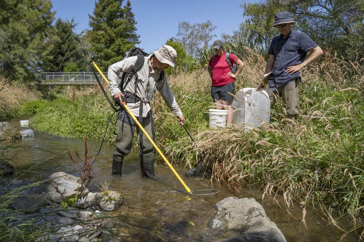 Cawthron-FW-Freshwater Monitoring