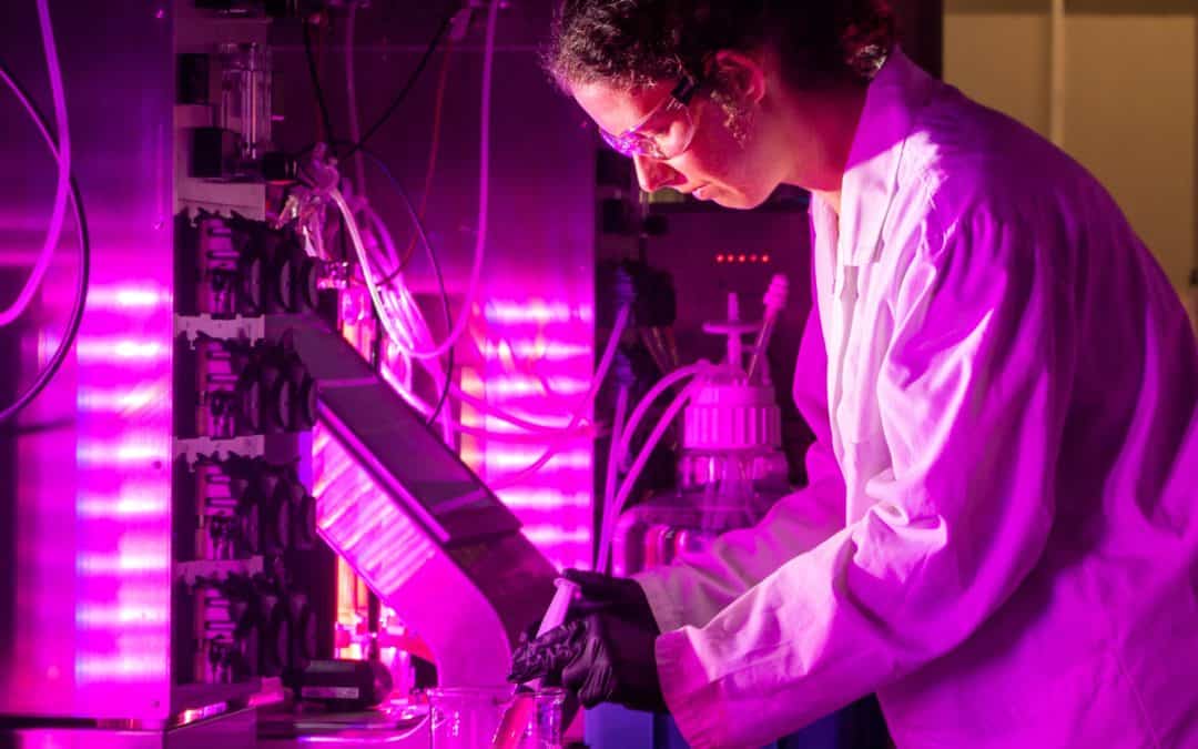 Cawthron Institute part of international collaboration to develop world’s first algae-based local anaesthetic neosaxitoxin