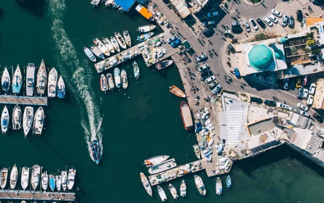 Cawthron Institute leads study tackling global phenomenon of ‘coastal hardening’ and its environmental impacts