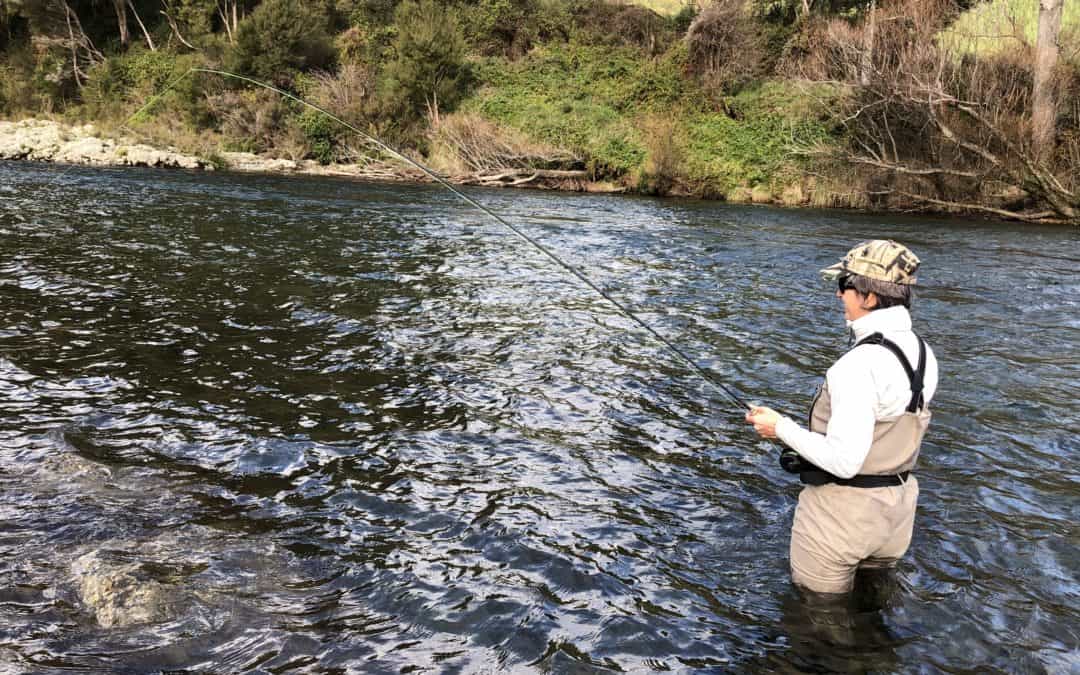 New policy briefs call for a rethink of Aotearoa New Zealand’s freshwater fish future
