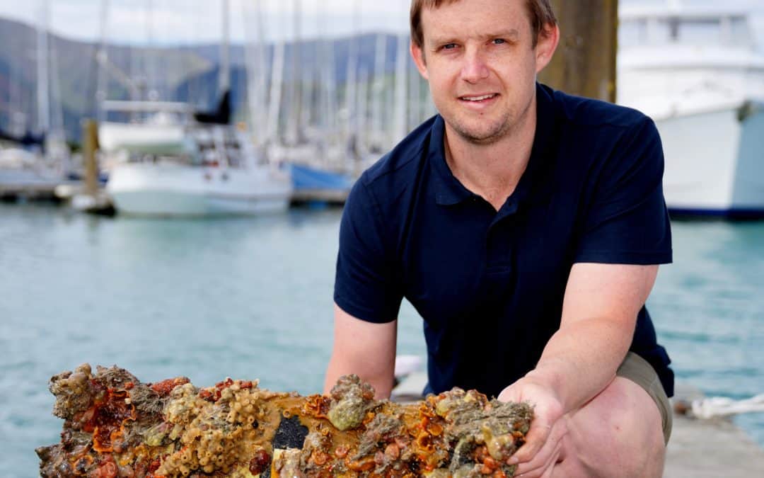 Cawthron researchers win two top prizes in NZ Biosecurity Awards