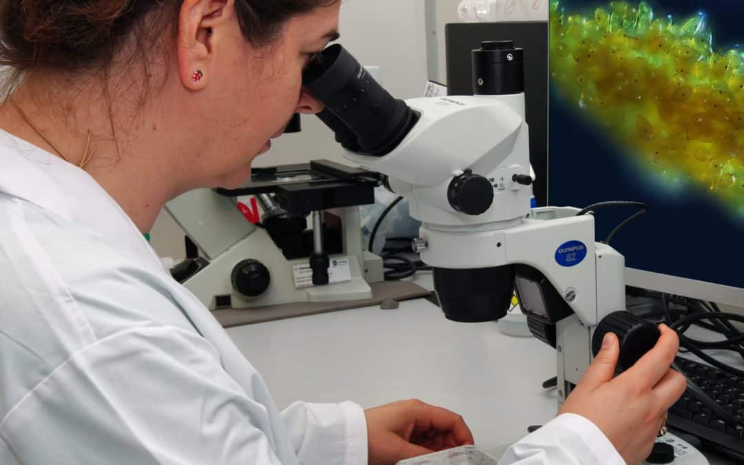 Aquatic Animal Health Research Programme