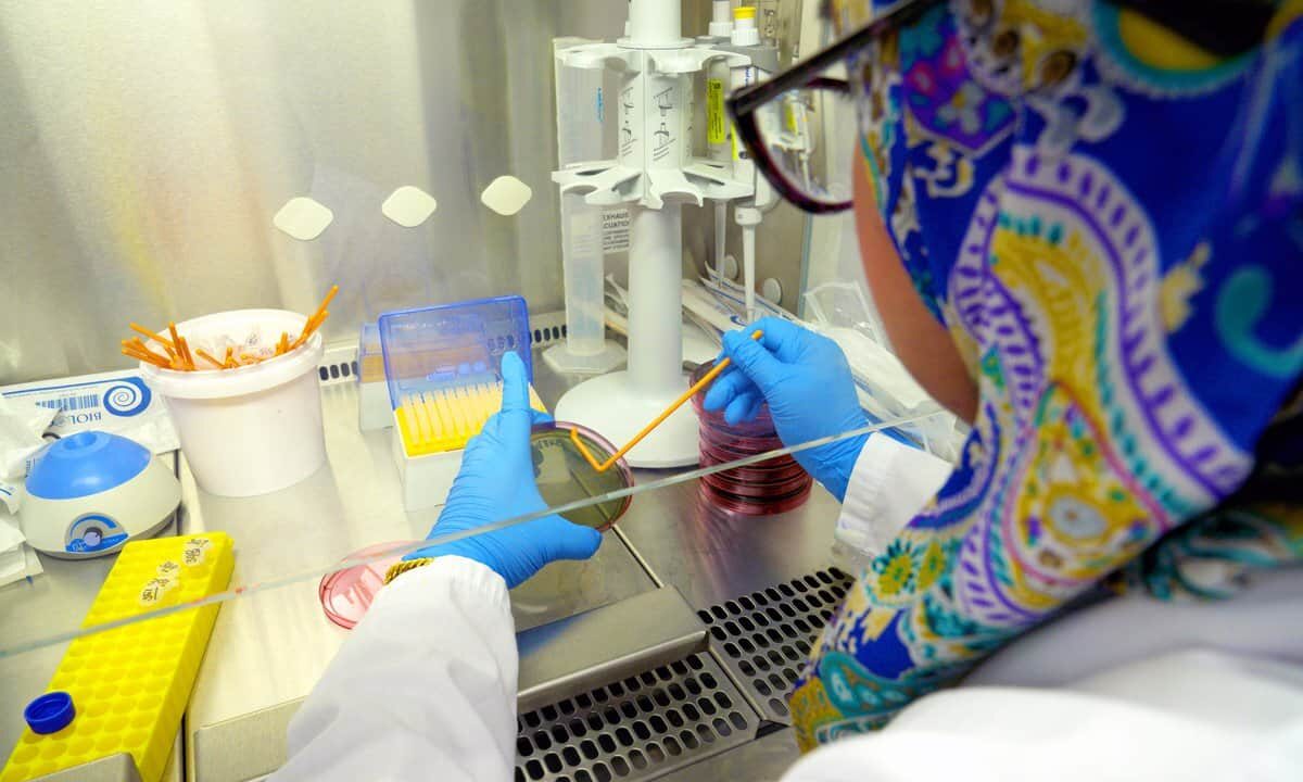 Lab technician processes samples in wet lab