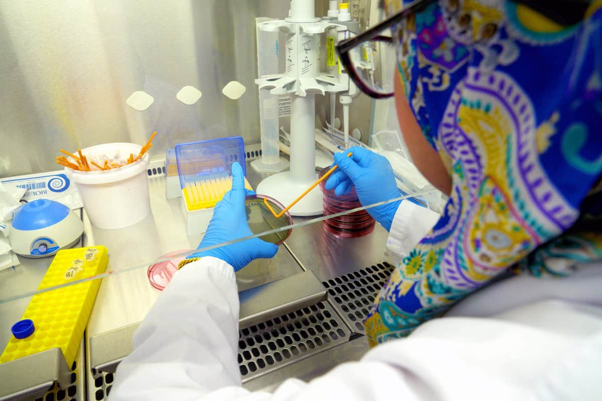 Laura Biessy in the laboratory at Cawthron Institute