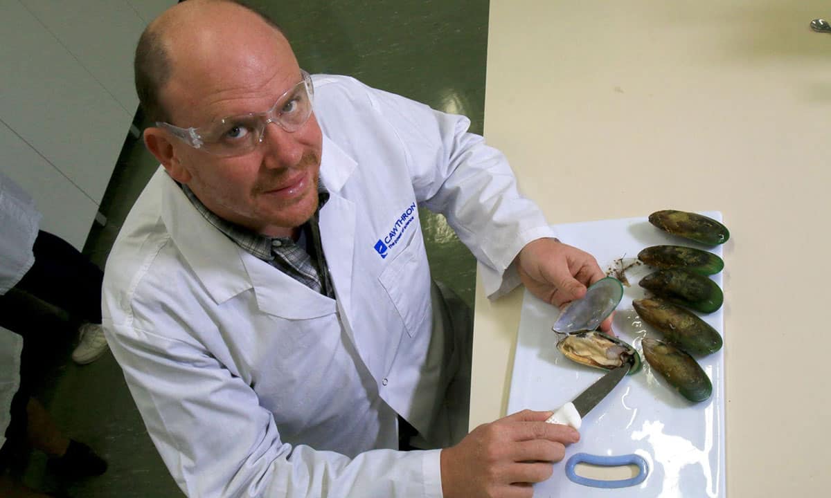 Matt Miller with greenshell mussels in lab