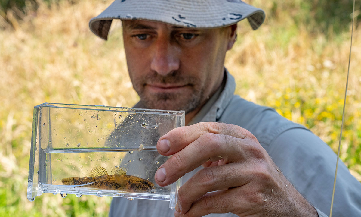 Cawthron-FW-Fish Passage Assessment-Robin Holmes