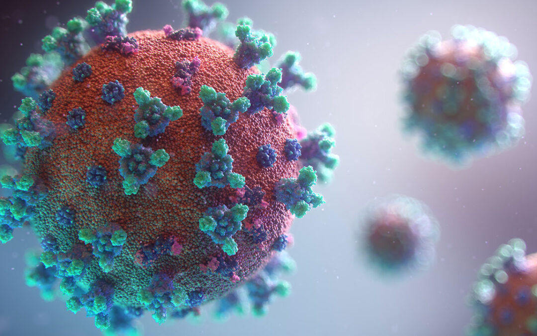 Cawthron Laboratory Testing Update