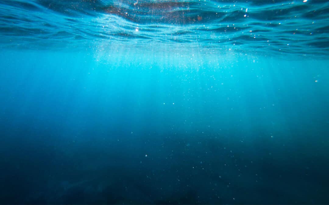 Cawthron Institute to lead two major research programmes to advance open ocean aquaculture and transform freshwater fish management
