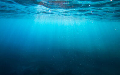 DOC and Cawthron strengthen collaboration to support aquatic conservation science