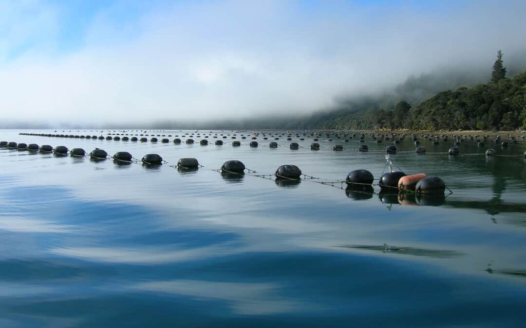 Cawthron scientist awarded Mana Tūāpapa Future Leader Fellowship