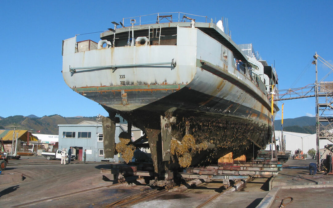 Researchers launch survey of recreational boat owners to inform biosecurity efforts