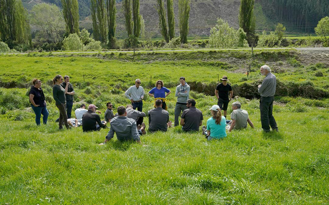 Better coordination and communication would unlock potential of catchment groups to improve freshwater health