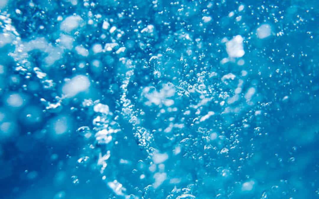 Birds, bubbles and spiders: Nature-based solutions to aquatic environmental challenges