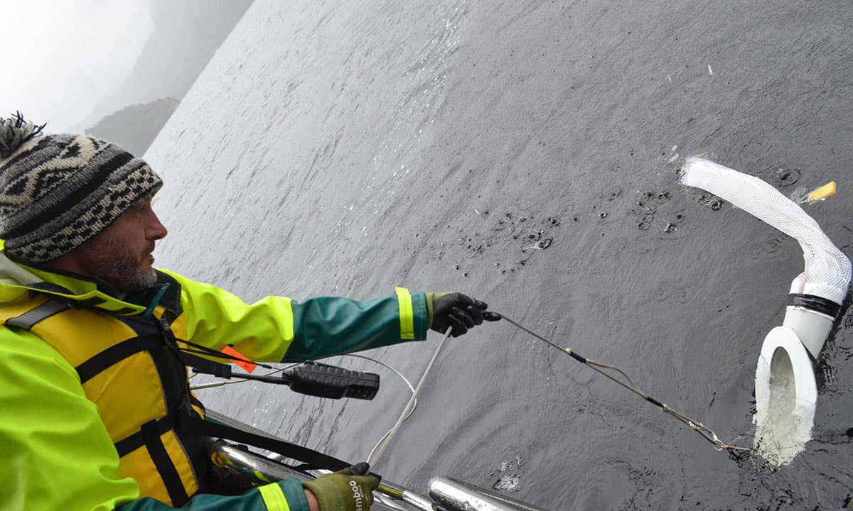 Man taking eDNA sample in ocean with net