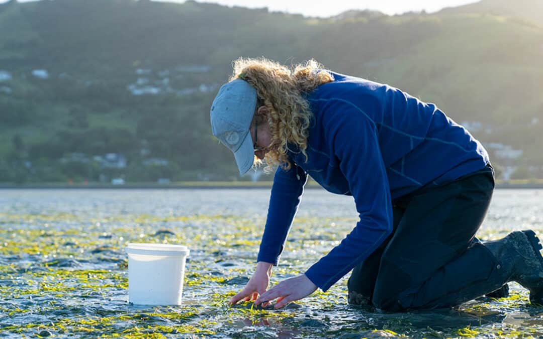 Scholarship enables Marlborough student to pursue marine conservation