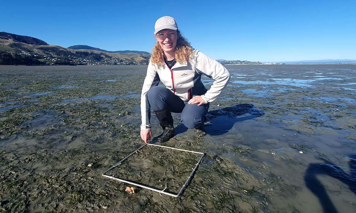 woman surveying seagrass in estuary