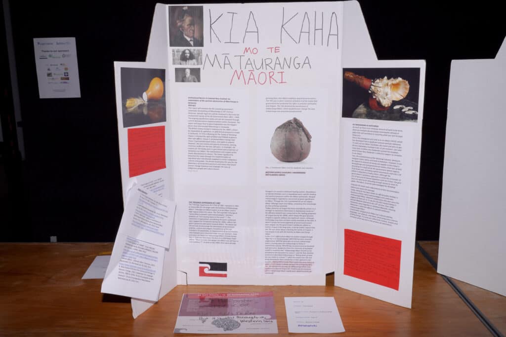 Te Ao Māori project