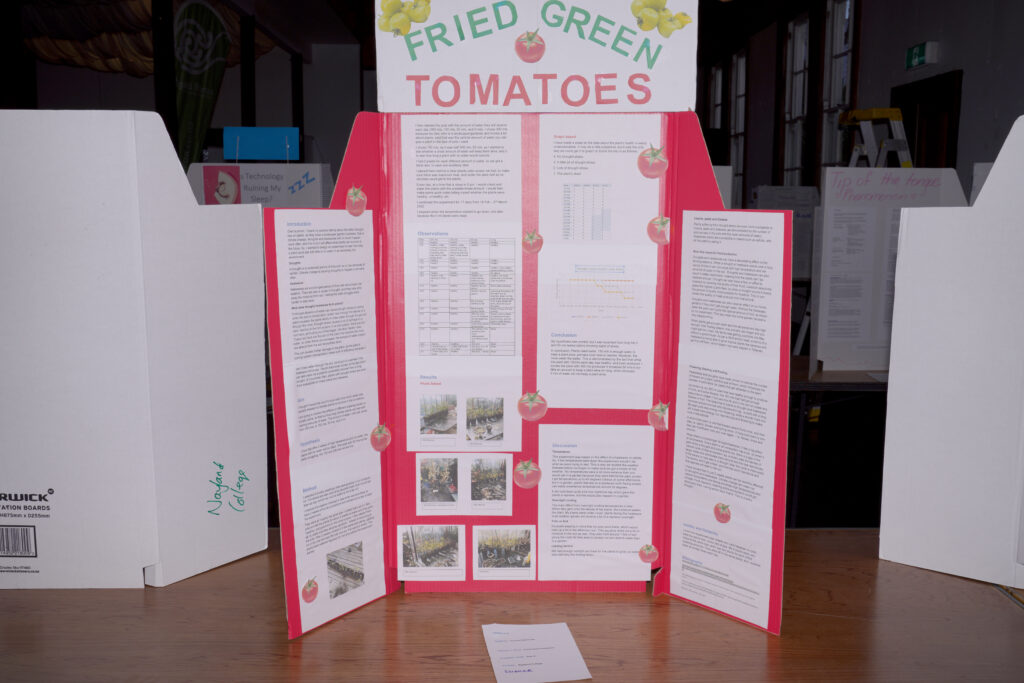 Fried Green Tomato Project