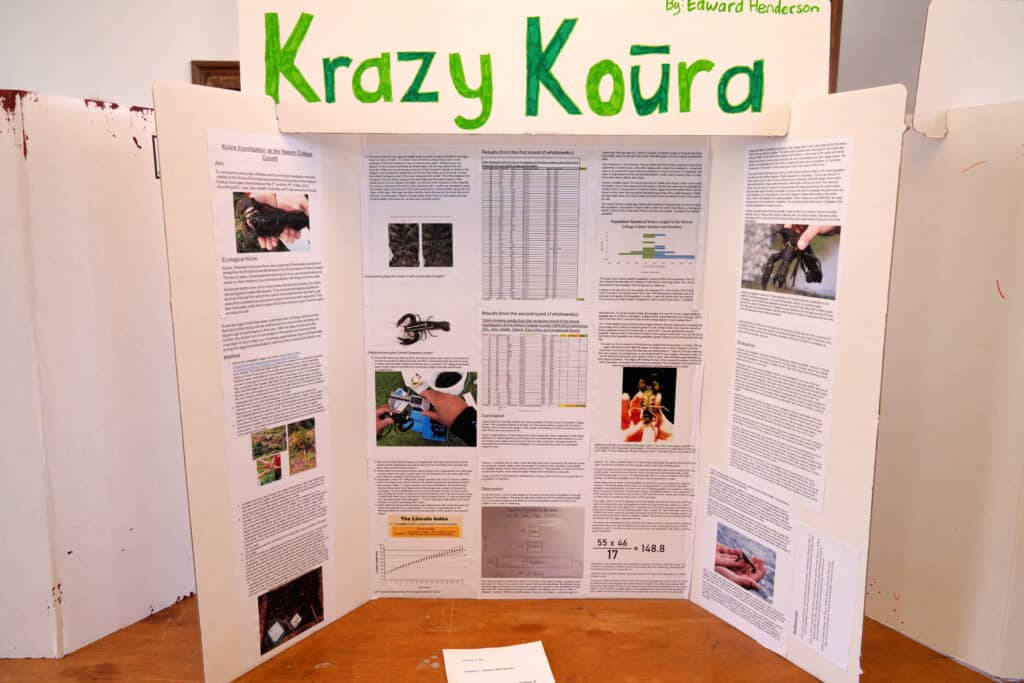 Krazy Kōura science board