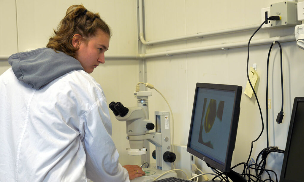 girl working by computer and microscope 