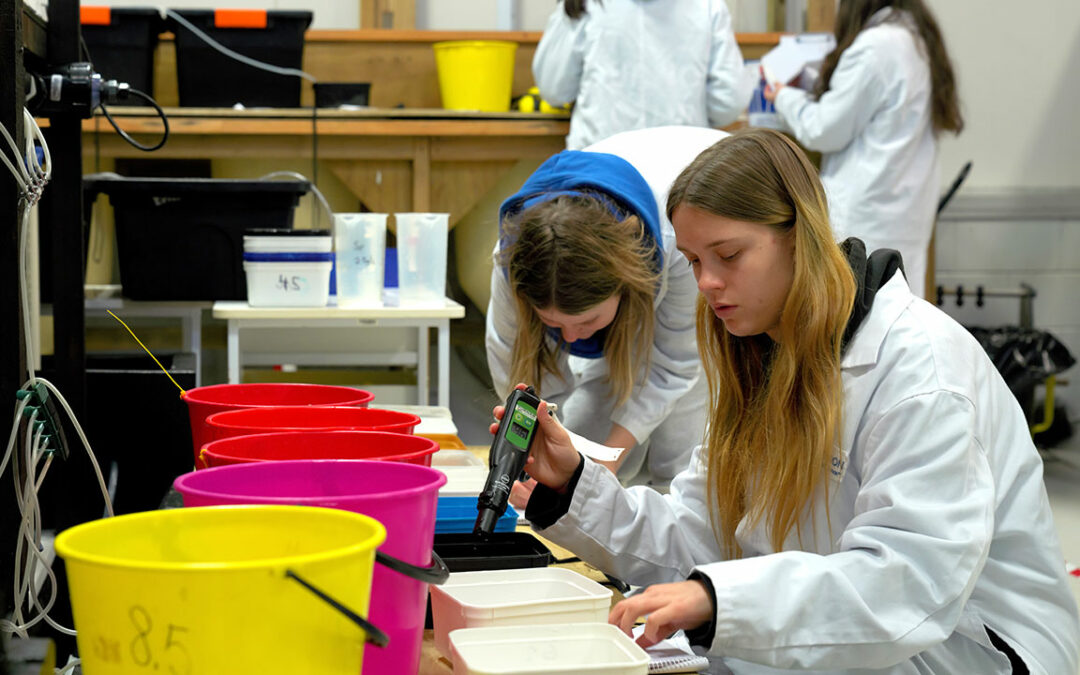 Mussel biology workshops give students a taste of life as a scientist