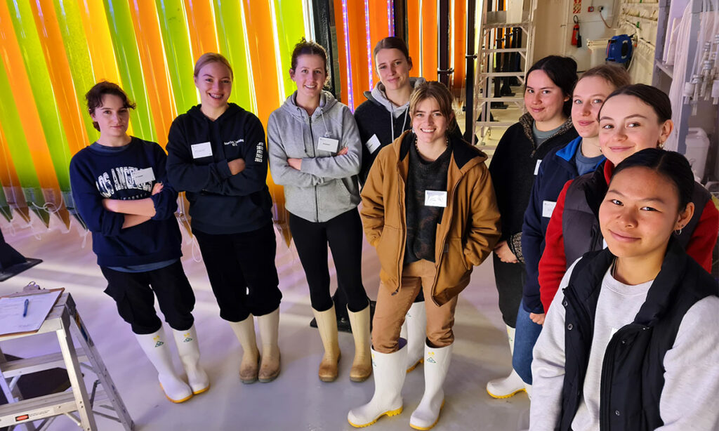 Students standing in front of algae bags