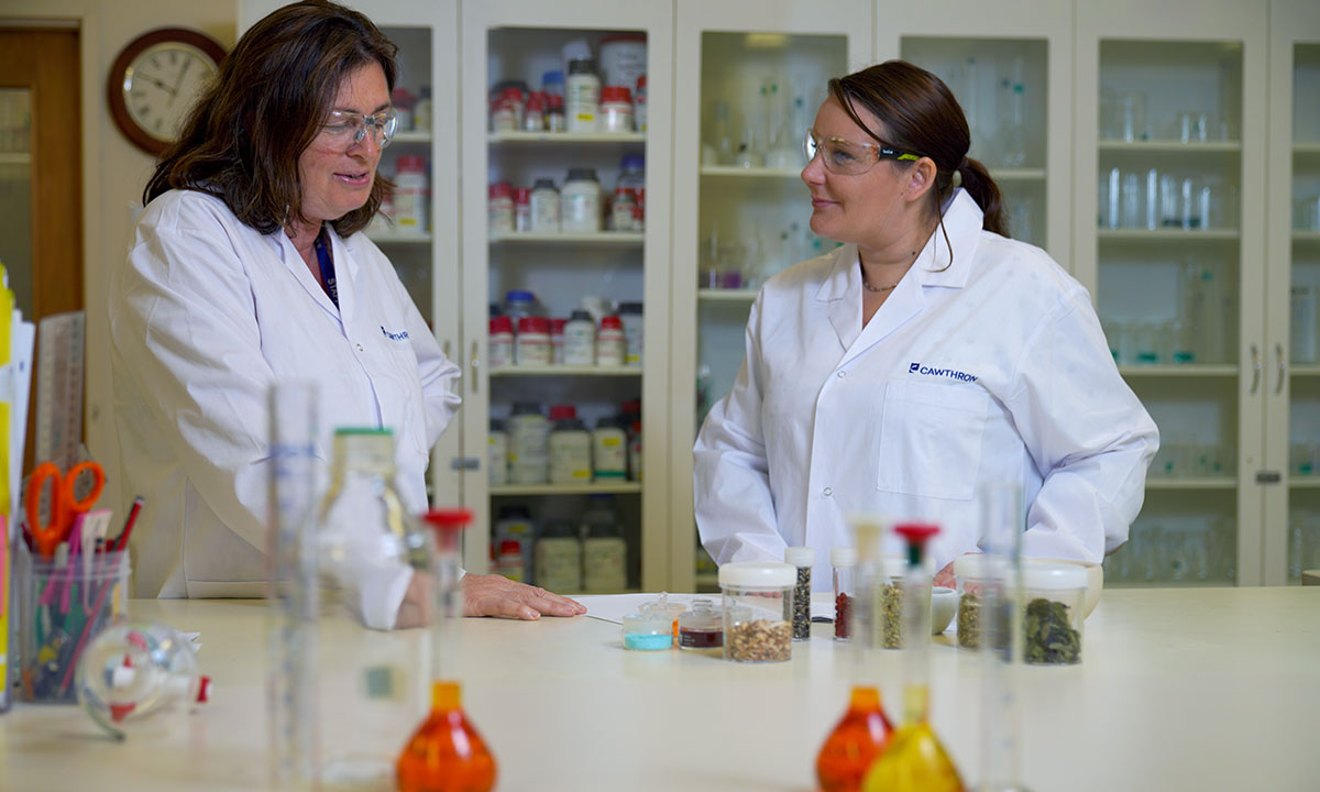 Two laboratory technicians with samples on desk