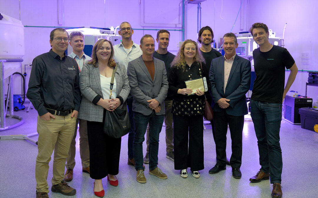 Microalgae being explored as potential future food