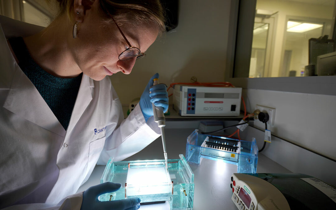 Cawthron scientists awarded Marsden Fund grants to reveal hidden ecological stories