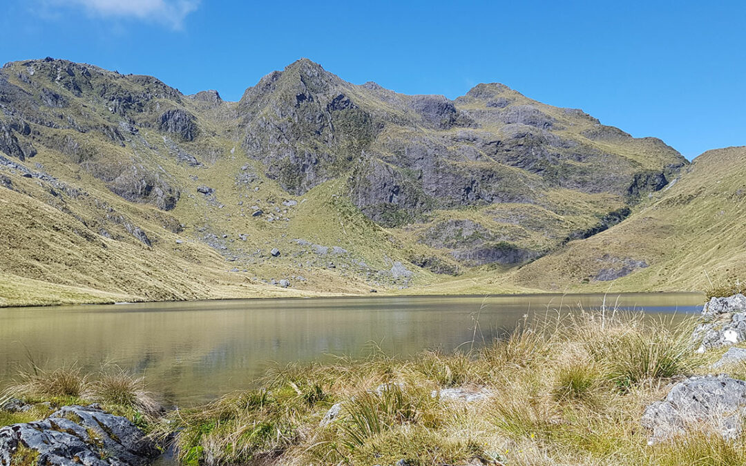 Our Lakes, Our Future