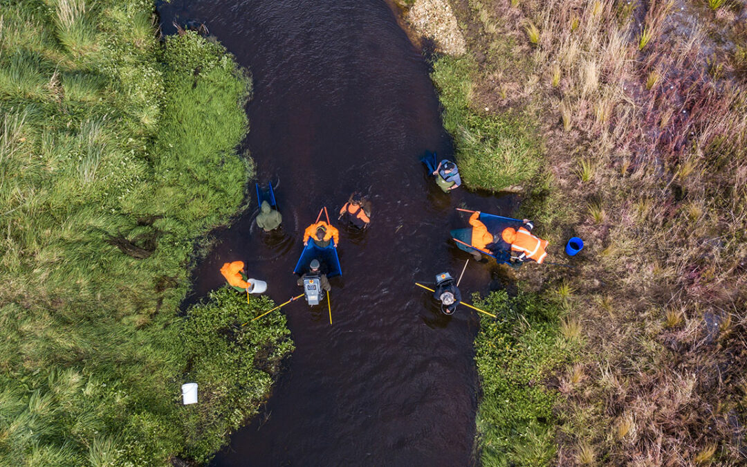 Waituna Creek Transformation Project